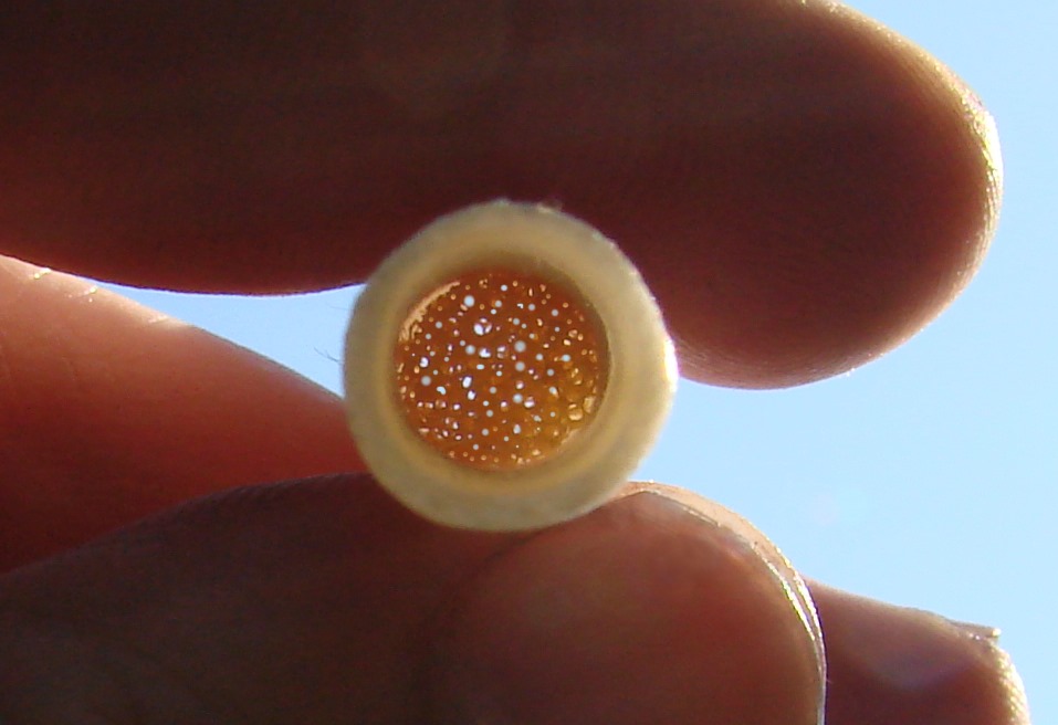 filter2010.jpg